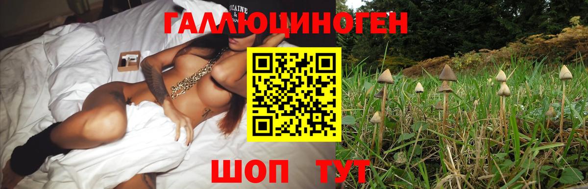 Галлюциногенные грибы GOLDEN TEACHER Красноуфимск
